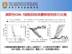 圖解異體骨髓移植的人類化小鼠模型